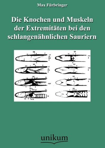 Die knochen und muskeln der - die,