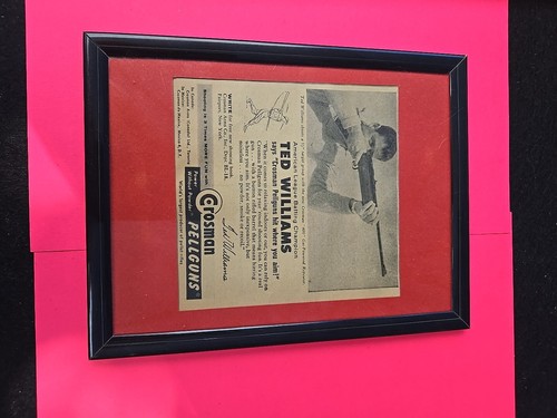 6x8 telaio ted williams - 6x8,