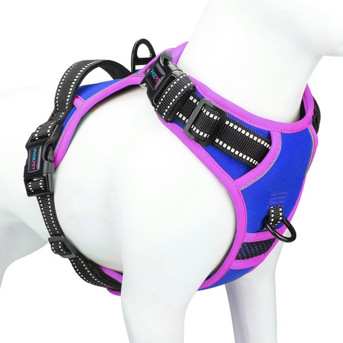 Phoepet pettorina per cani - phoepet,