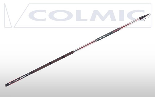 Canna bolognese colmic - bolognese, espirit