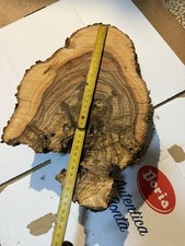 Tavola ulivo con - tavola,