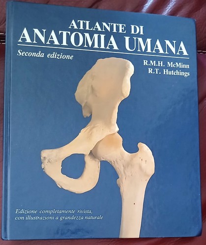 Atlante anatomia umana - anatomia, umana.