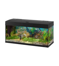 ACQUARIO DUBAI 100 NERO CON LED -101 x 41 x H 53 CM - 190 L - FERPLAST