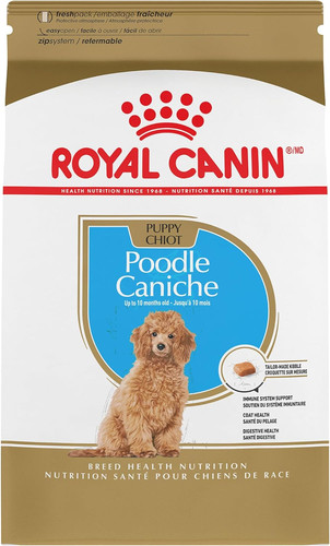 Royal canin barboncino - royal,