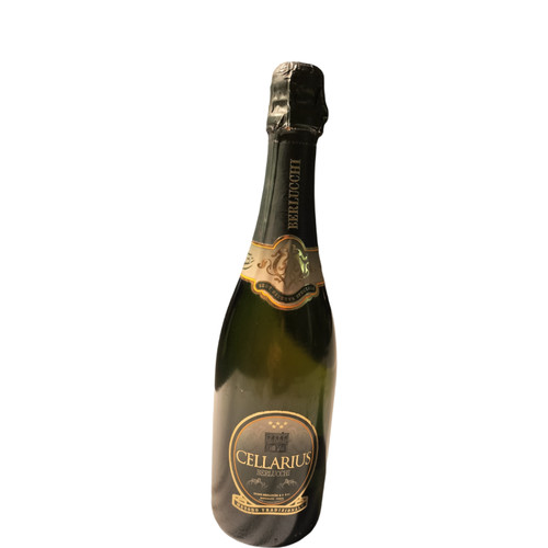 Bottiglia berlucchi brut - bottiglia, di