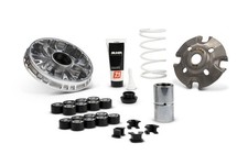 MALOSSI 5120018 VARIATORE