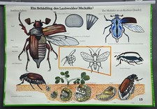 Tabella educativa wall chart - tabella,