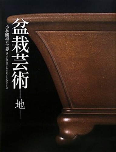 Libro bonsai art terra - libro,