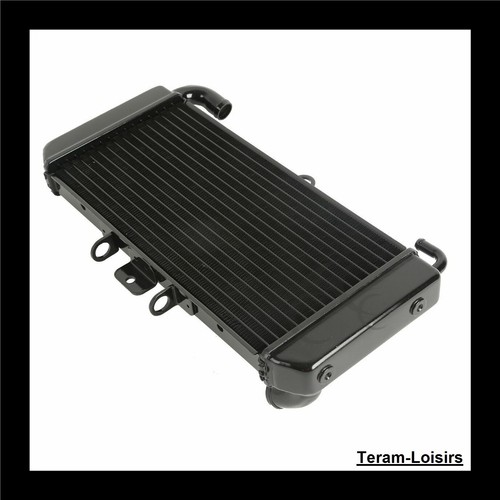 Radiateur pour yamaha fzs - radiateur,