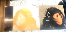 20175 LP 33 giri Gatefold -