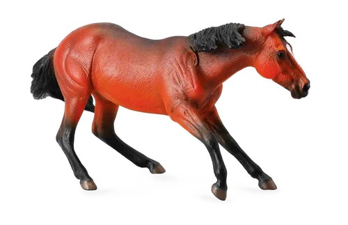 Animali collecta quarter horse - animali,
