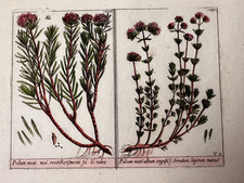 Piatto originale XIX secolo