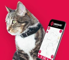 Cat | Tracker più leggero UK