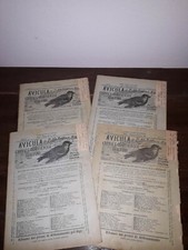 Avicula giornale ornitologico italiano 1897 anno 1 fasc. 1-2-3-5 ornitologia
