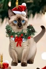 Decorazione natalizia gatto