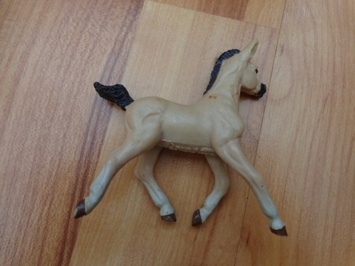Cavallo puledro andaluso - cavallo,