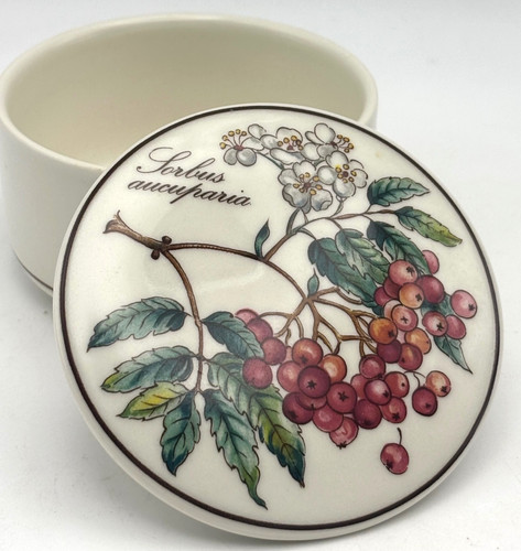 Villeroy boch botanica - &,