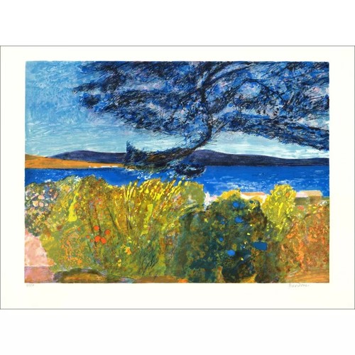 Ragazzo bardone litografia - ragazzo,