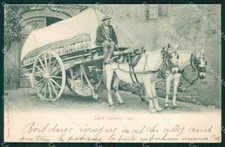 Firenze Città Carro Trasporto