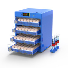 256 incubatrice uova - , di