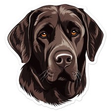 Chocolate Labrador Dog - Vinyl