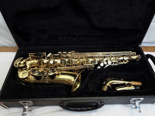 Maxtone sassofono contralto - maxtone,