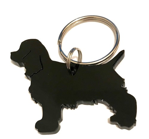 Cocker spaniel dog - cocker,