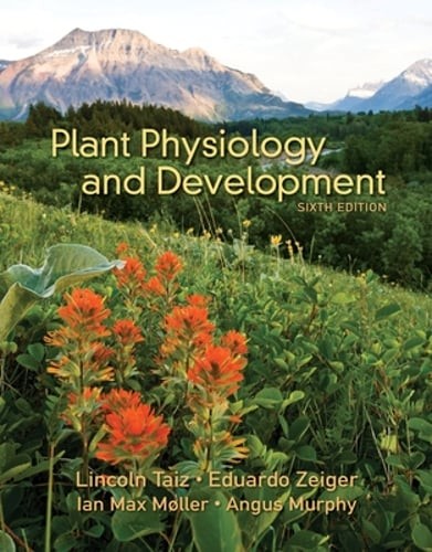 Plant physiology development - plant,