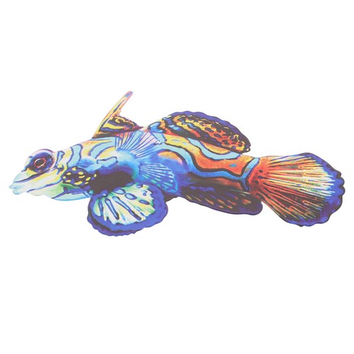 Ornamenti acquario decorazione - acquario,