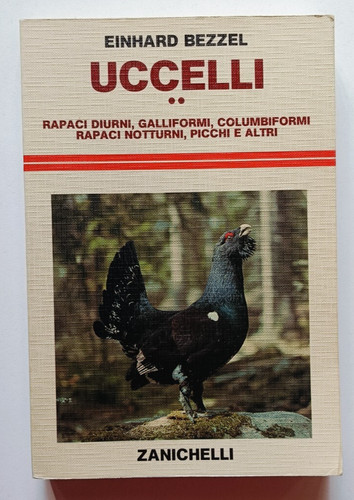Uccelli rapaci - uccelli,