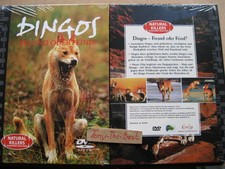 DVD - Natural Killers 16 -