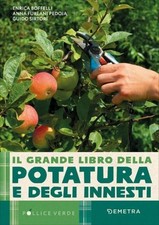 Libro grande della - il,