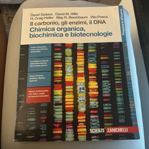 Carbonio gli enzimi il - gli, enzimi,