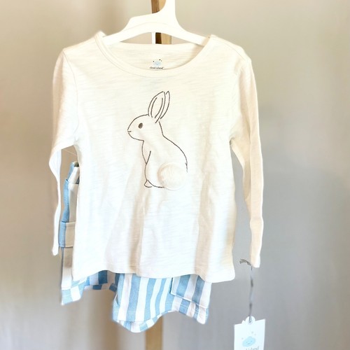Cloud island toddler - island, bunny