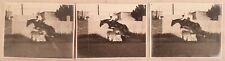 TRE FOTOGRAFIE SALTO AD OSTACOLI CAVALLO HORSE IPPODROMO ANNI ’30 CAVALLI
