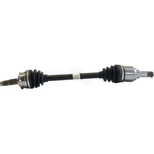 Albero motore metelli - motore,