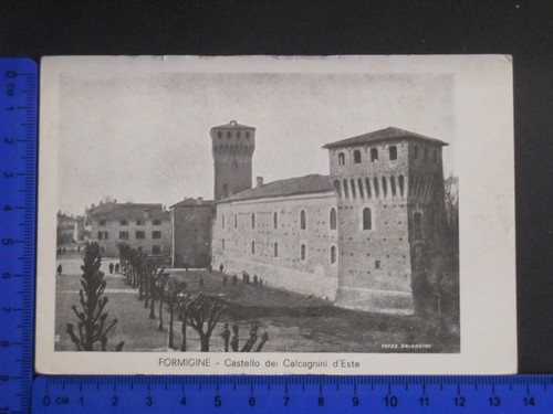 Formigine bellissima - (mo),