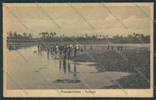 Cremona Pizzighettone