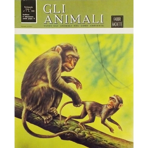 Enciclopedia gli animali anno - enciclopedia,