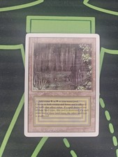 Bayou Revised Dual Land Magic