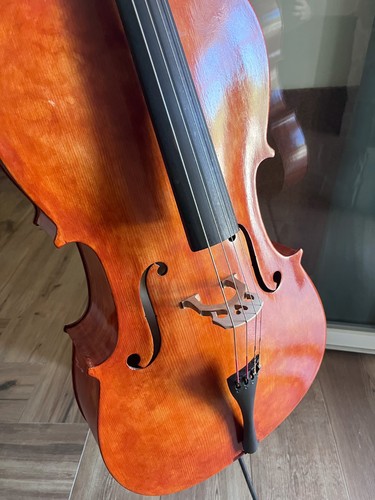 Violoncello studio con - da,