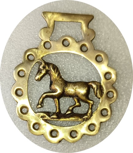 Trotting horse cavallo in - trotting,
