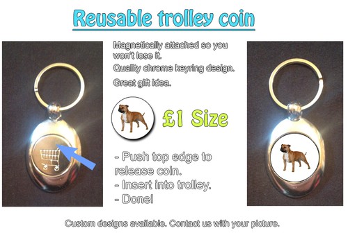 Staffordshire bull terrier dog - staffordshire,