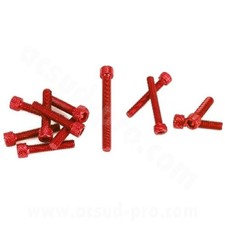 KIT VITI DECORATIVE ERGAL BR