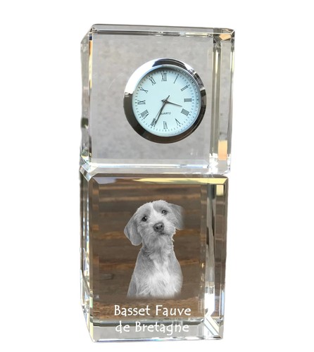 Basset fauve bretagne - fauve,