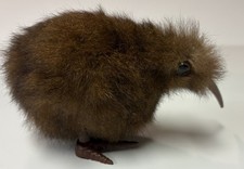 Pelliccia di coniglio kiwi