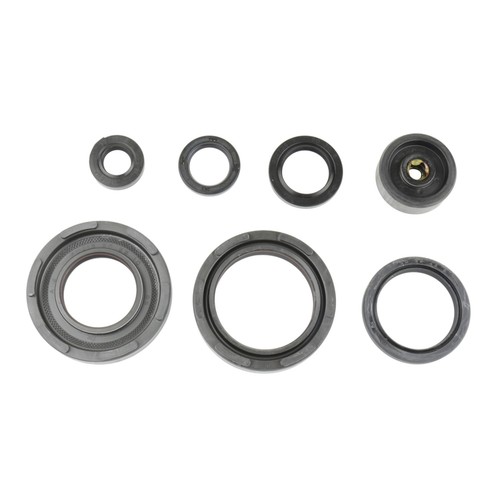 Serie paraolio motore yamaha - motore,