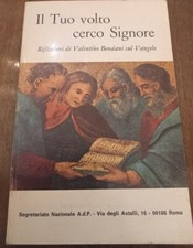 il tuo volto cerco signore riflessioni di Valentino Bondani sul Vangelo