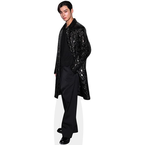 Cha eun woo a - cha, (black