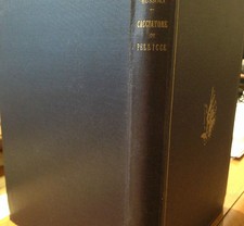 1938 NINO BUSSOLI - CACCIATORE